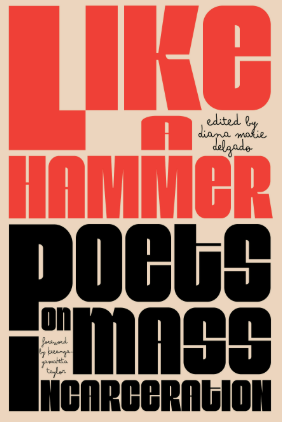 Latina poetry collections 2025